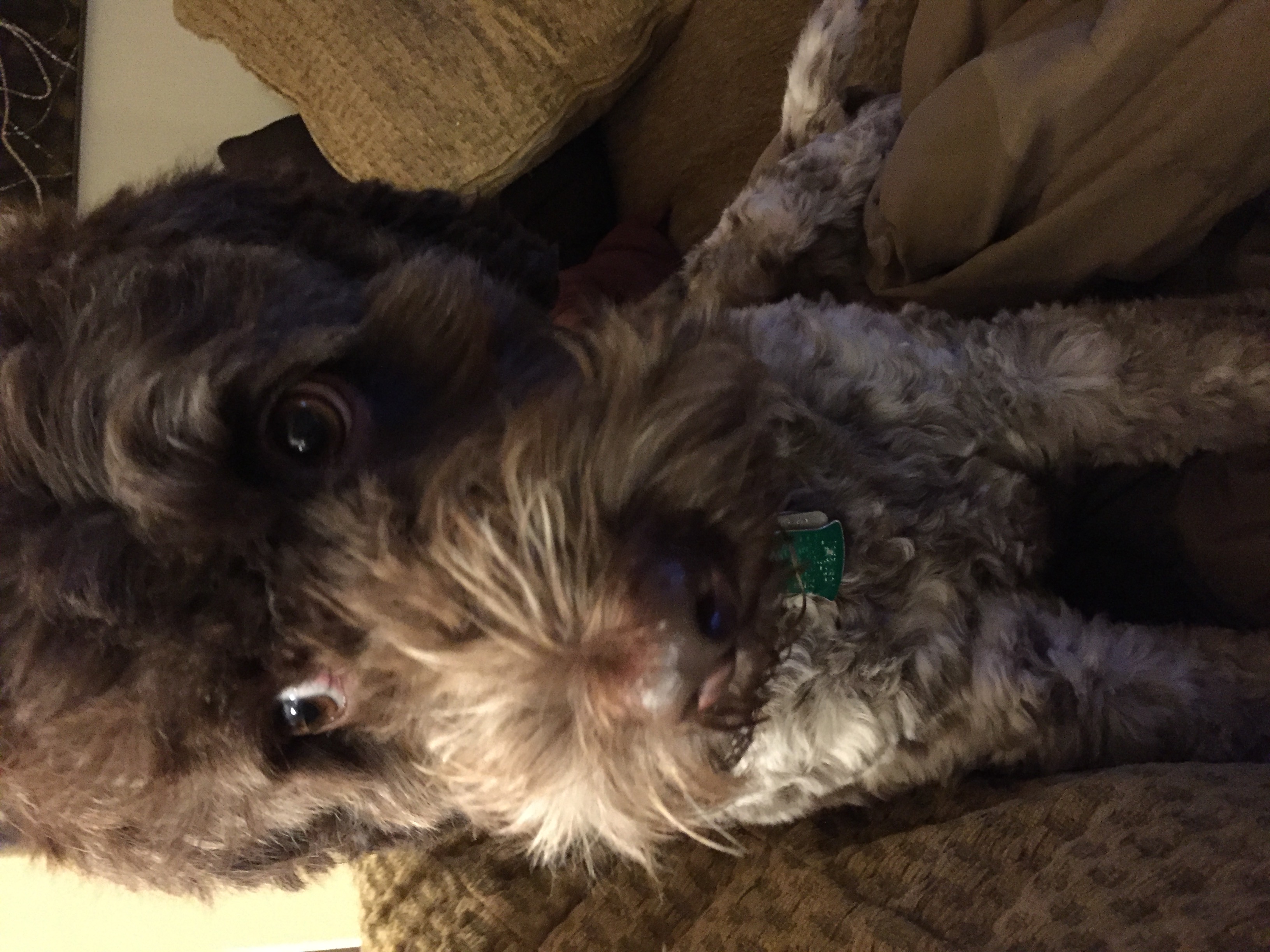 Bella giving side eye